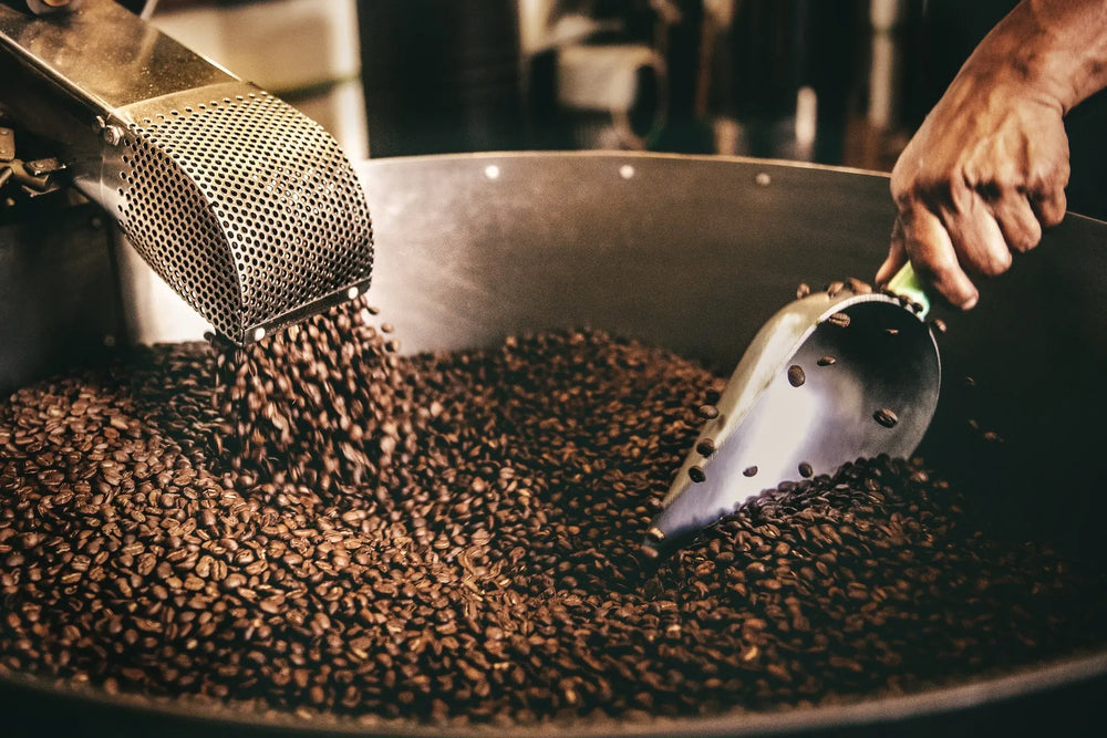 coffee beans roasted