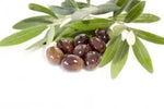 Oliven Galega mit Kern 210g - Lusogourmet