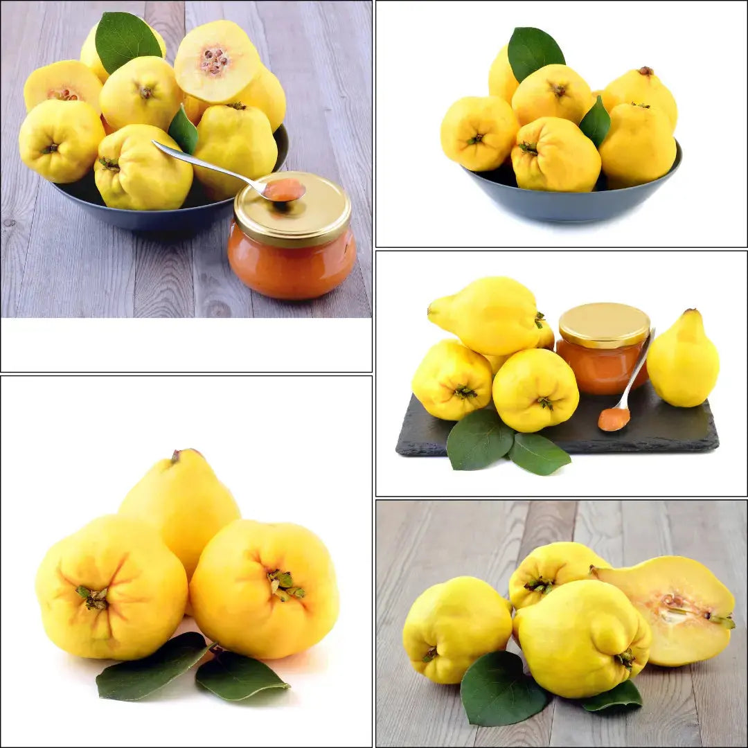 Quittenmarmelade - 450g - Lusogourmet
